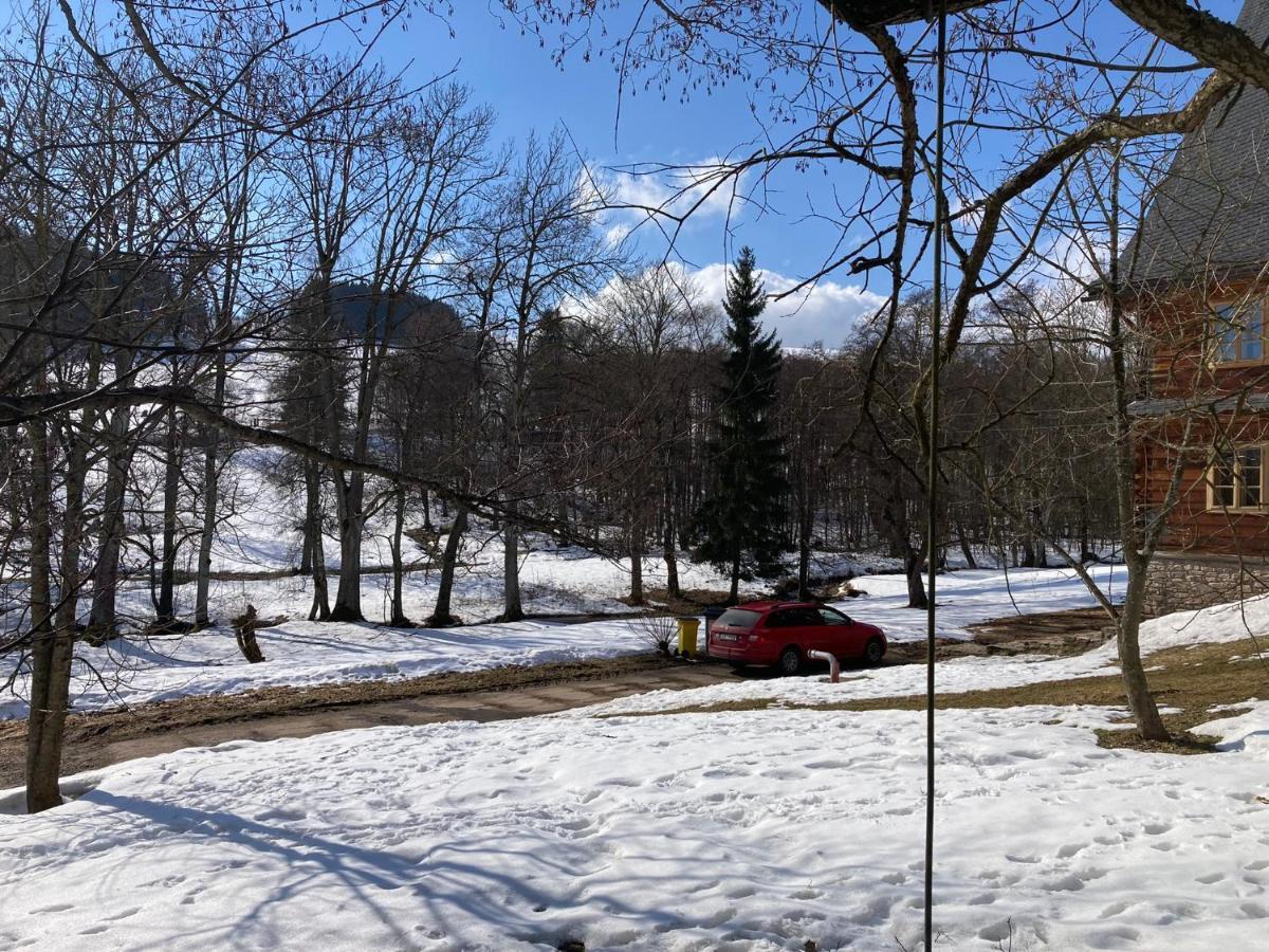 Samota U Hadince Otel Bartosovice v Orlickych Horach Dış mekan fotoğraf