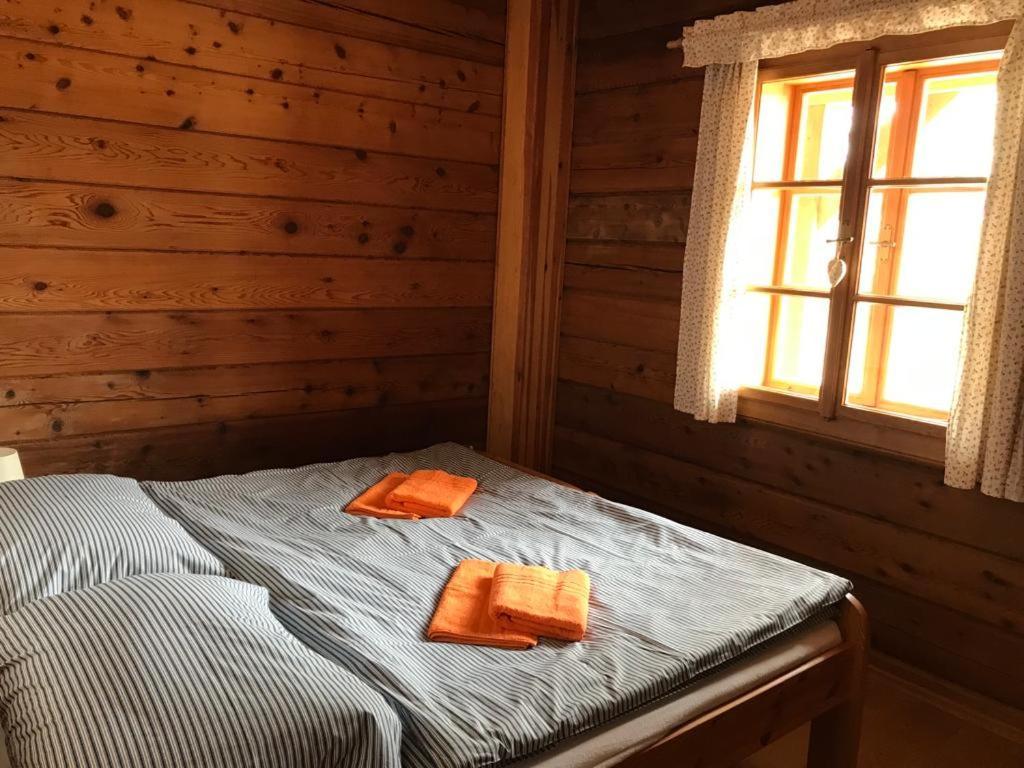 Samota U Hadince Otel Bartosovice v Orlickych Horach Dış mekan fotoğraf