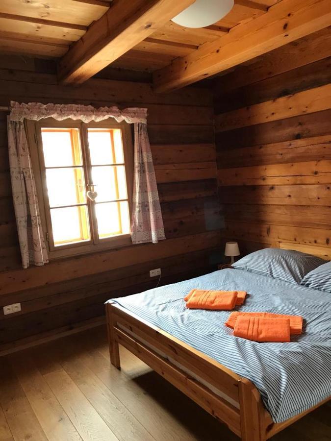 Samota U Hadince Otel Bartosovice v Orlickych Horach Dış mekan fotoğraf