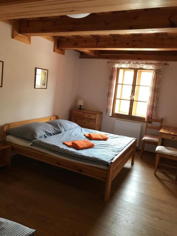 Samota U Hadince Otel Bartosovice v Orlickych Horach Dış mekan fotoğraf