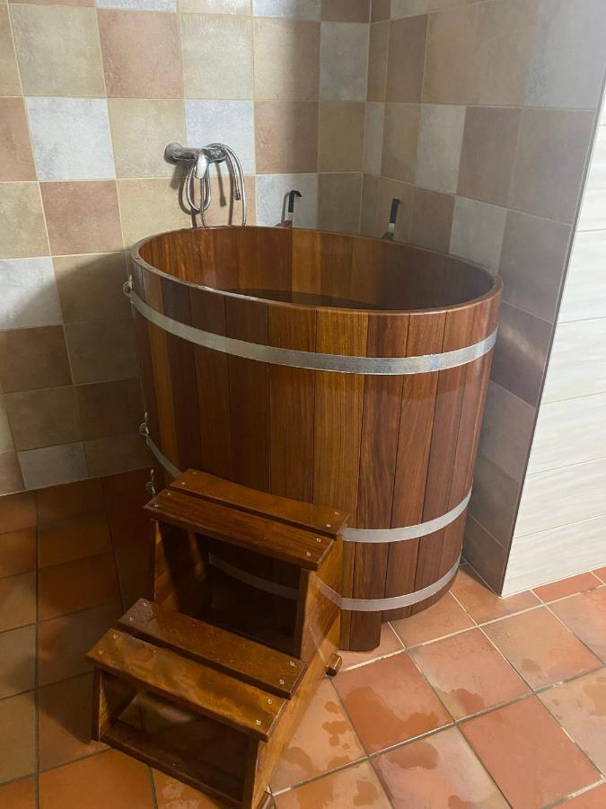 Samota U Hadince Otel Bartosovice v Orlickych Horach Dış mekan fotoğraf